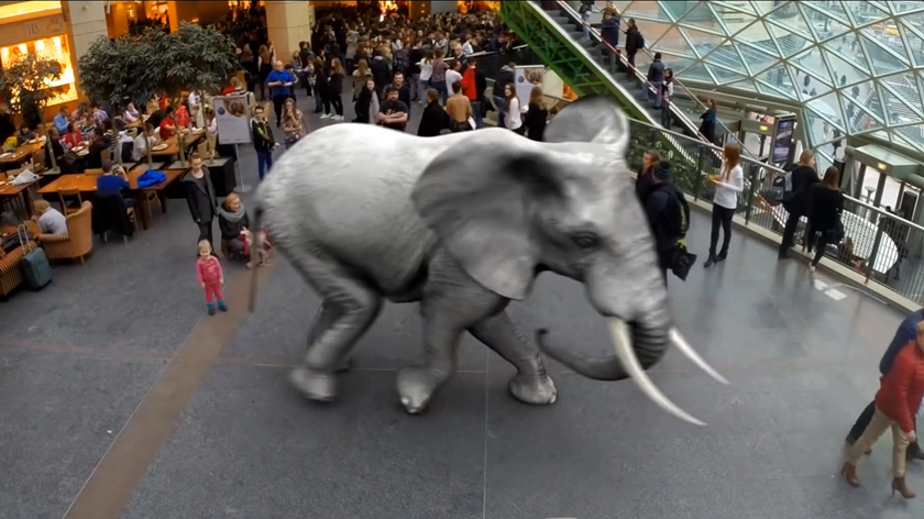 广场AR大象虚拟展示