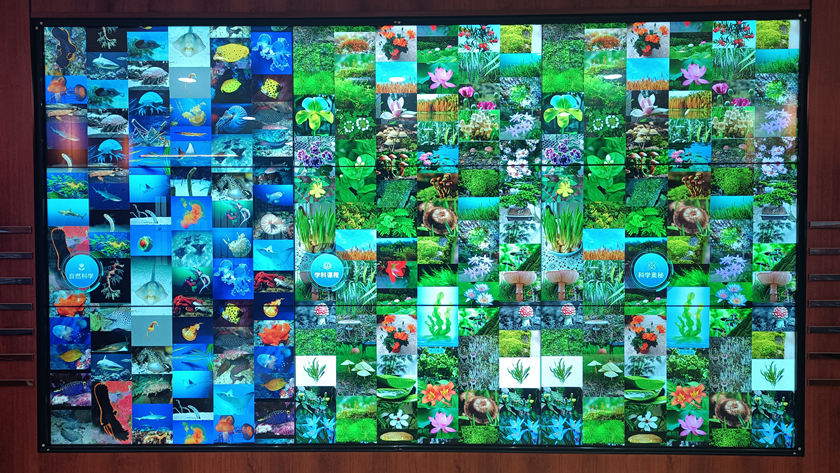动植物互动照片墙拼接屏展示
