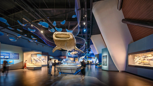 数字多媒体筑造海洋博物馆，全面叙述深海文明