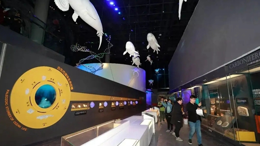 航海展厅用数字技术呈现大海的波澜壮阔